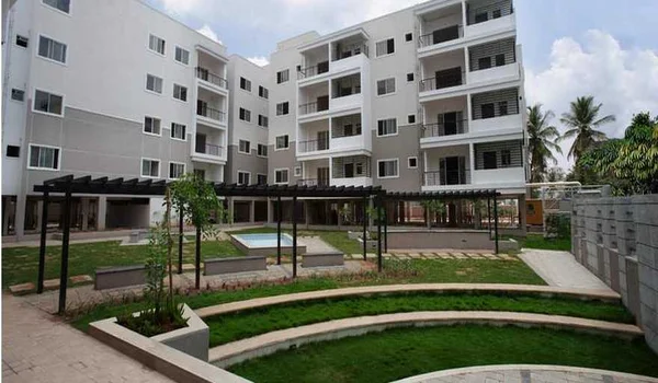 Featured Image of Century Marvel